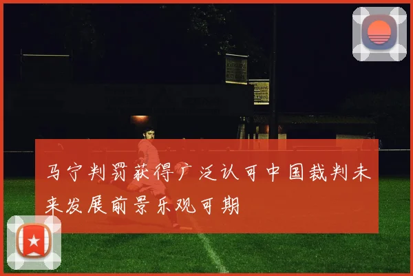 马宁判罚获得广泛认可中国裁判未来发展前景乐观可期