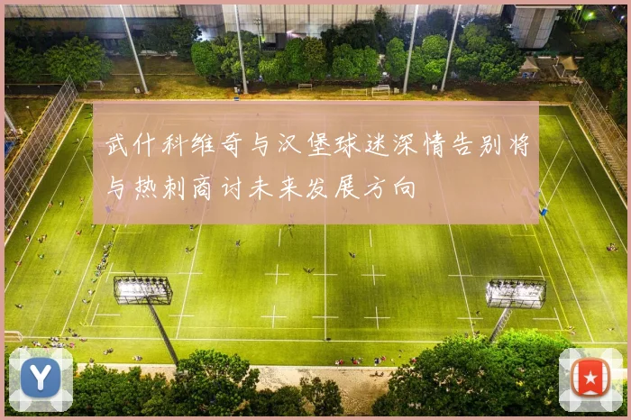 武什科维奇与汉堡球迷深情告别将与热刺商讨未来发展方向