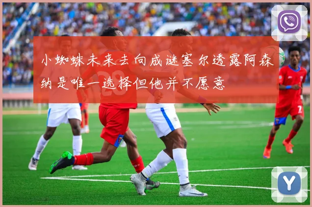 小蜘蛛未来去向成谜塞尔透露阿森纳是唯一选择但他并不愿意